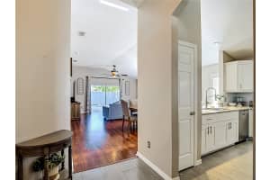 15151 SHAW ROAD, TAMPA, FL 33625 - MLS#MFRTB8506407