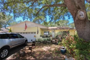 1229 OAK VALLEY DRIVE, SEFFNER, FL 33584 - MLS#MFRTB8506410