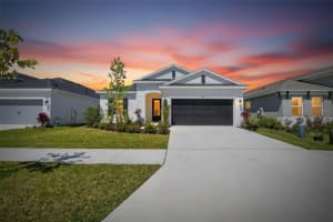 6196 Hidden Branch Dr, APOLLO BEACH