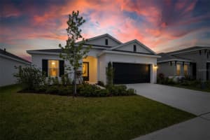 6196 HIDDEN BRANCH DRIVE, APOLLO BEACH, FL 33572 - MLS#MFRTB8506415