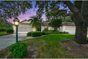 1209 LITCHFIELD DRIVE, SUN CITY CENTER, FL 33573 - MLS#MFRTB8506452