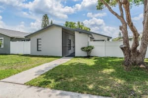 11005 UNDERWOOD PLACE, TAMPA, FL 33624 - MLS#MFRTB8506520