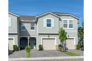 2507 ARBOR WIND DRIVE, LUTZ, FL 33558 - MLS#MFRTB8506539