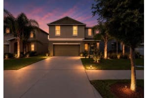 17014 YELLOW PINE STREET, WIMAUMA, FL 33598 - MLS#MFRTB8506555