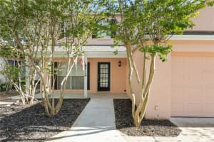 3110 W Villa Rosa St, TAMPA
