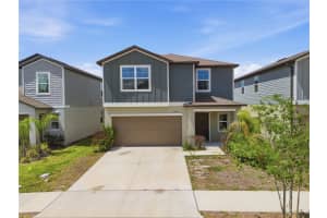 22279 Storybook Cabin Way, LAND O LAKES