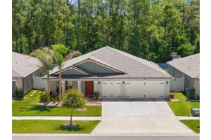 13511 Willow Bluestar Loop, RIVERVIEW