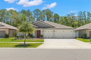 13511 WILLOW BLUESTAR LOOP, RIVERVIEW, FL 33579 - MLS#MFRTB8506583