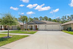 13511 WILLOW BLUESTAR LOOP, RIVERVIEW, FL 33579 - MLS#MFRTB8506583