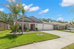13511 WILLOW BLUESTAR LOOP, RIVERVIEW, FL 33579 - MLS#MFRTB8506583