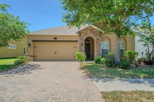 1667 NATURE VIEW DRIVE, LUTZ, FL 33558 - MLS#MFRTB8506591