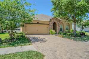1667 NATURE VIEW DRIVE, LUTZ, FL 33558 - MLS#MFRTB8506591