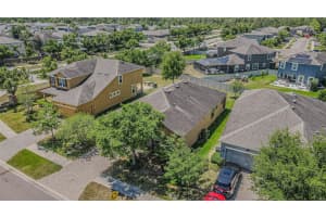 1667 NATURE VIEW DRIVE, LUTZ, FL 33558 - MLS#MFRTB8506591