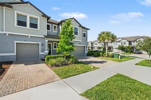 21786 ADRIATIC LANE, LAND O LAKES, FL 34637 - MLS#MFRTB8506598