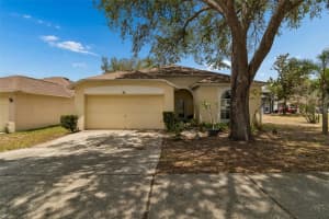 912 GRAND CANYON DRIVE, VALRICO, FL 33594 - MLS#MFRTB8506623