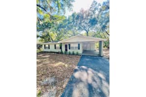 4420 BAILEY ROAD, MULBERRY, FL 33860 - MLS#MFRTB8506636