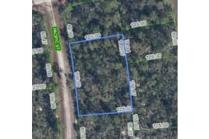 719 PACIFIC STREET, LAKE PLACID, FL 33852 - MLS#MFRTB8506640