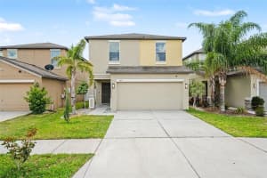 7421 FRENCH MARIGOLD AVENUE, TAMPA, FL 33619 - MLS#MFRTB8506689