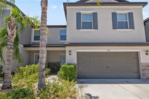 1295 WHITE FOX RUN, LUTZ, FL 33549 - MLS#MFRTB8506695