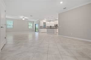 1295 WHITE FOX RUN, LUTZ, FL 33549 - MLS#MFRTB8506695