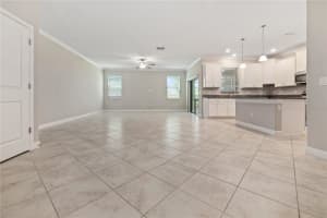 1295 WHITE FOX RUN, LUTZ, FL 33549 - MLS#MFRTB8506695