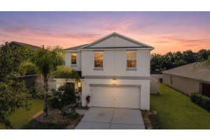253 CASCADE BEND DRIVE, RUSKIN, FL 33570 - MLS#MFRTB8506718