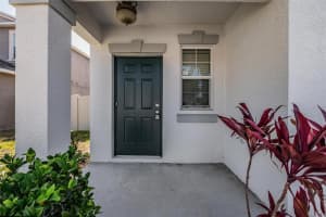 253 CASCADE BEND DRIVE, RUSKIN, FL 33570 - MLS#MFRTB8506718