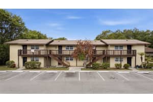 141 FERNERY ROAD, LAKELAND, FL 33809 - MLS#MFRTB8506742