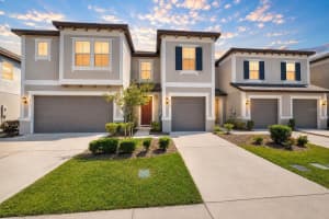 31555 BLUE PASSING LOOP, WESLEY CHAPEL, FL 33545 - MLS#MFRTB8506754