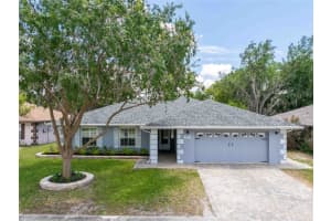 28310 TANGLEWOOD DRIVE, WESLEY CHAPEL, FL 33543 - MLS#MFRTB8506756