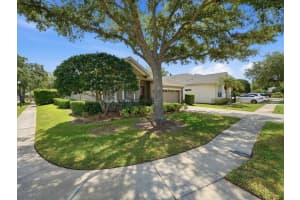 19409 GOLDEN SLIPPER PLACE, LUTZ, FL 33558 - MLS#MFRTB8506774
