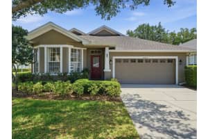 19409 GOLDEN SLIPPER PLACE, LUTZ, FL 33558 - MLS#MFRTB8506774