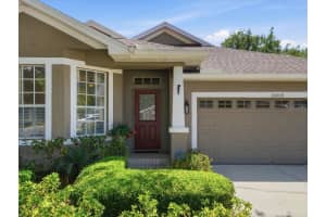 19409 GOLDEN SLIPPER PLACE, LUTZ, FL 33558 - MLS#MFRTB8506774