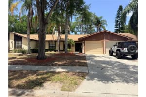 2034 MONTEGO COURT, OLDSMAR, FL 34677 - MLS#MFRTB8506783