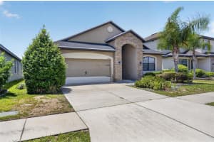 12433 BALLENTRAE FOREST DRIVE, RIVERVIEW, FL 33579 - MLS#MFRTB8506794