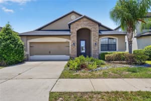 12433 BALLENTRAE FOREST DRIVE, RIVERVIEW, FL 33579 - MLS#MFRTB8506794