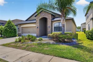 12433 BALLENTRAE FOREST DRIVE, RIVERVIEW, FL 33579 - MLS#MFRTB8506794