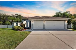 12910 VICKSBURG DRIVE, TAMPA, FL 33625 - MLS#MFRTB8506804