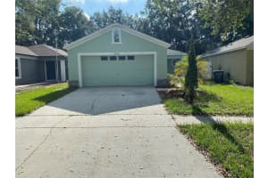 8530 Quarter Horse Dr, RIVERVIEW