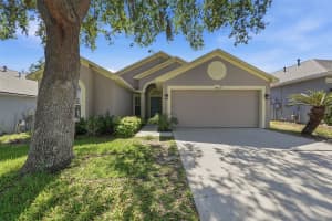 3511 GRAY WHETSTONE STREET, BRANDON, FL 33511 - MLS#MFRTB8506807