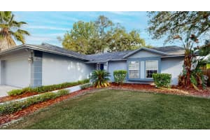 17628 Whistling Ln, LUTZ 17628 Whistling Ln, LUTZ