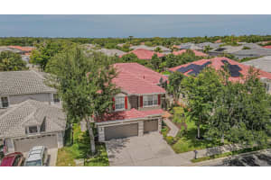 3356 ZACK DRIVE, DUNEDIN, FL 34698 - MLS#MFRTB8506829