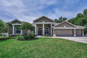 2013 WATER WHEEL COURT, DUNEDIN, FL 34698 - MLS#MFRTB8506846