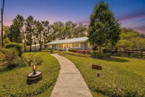 175 RIVIERE ROAD, PALM HARBOR, FL 34683 - MLS#MFRTB8506856