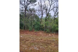 7360 DUNNELLON ROAD, DUNNELLON, FL 34433 - MLS#MFRTB8506864