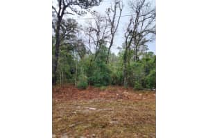 7360 DUNNELLON ROAD, DUNNELLON, FL 34433 - MLS#MFRTB8506864