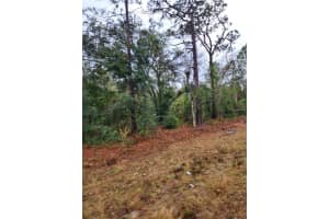 7360 DUNNELLON ROAD, DUNNELLON, FL 34433 - MLS#MFRTB8506864