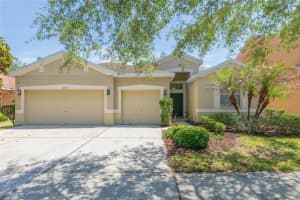 11334 BRIDGE PINE DRIVE, RIVERVIEW, FL 33569 - MLS#MFRTB8506870
