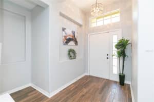 11334 BRIDGE PINE DRIVE, RIVERVIEW, FL 33569 - MLS#MFRTB8506870