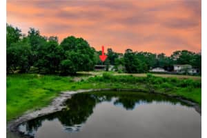 1819 SINCLAIR HILLS ROAD, LUTZ, FL 33549 - MLS#MFRTB8506871